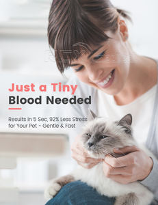 घर के उपयोग के लिए बिल्ली के कुत्ते परीक्षण जानवरों के मधुमेह माप के लिए उच्च गुणवत्ता वाली रुईक्सुयन पालतू जानवर मधुमेह माप - Product Image 4