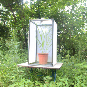 Large Eco-Friendly Outdoor Insect Mesh Cage <strong>Terrarium</strong> Collapsible Caterpillar Habitat Solid Pattern <strong>Plastic</strong> Tray Pallet Zipper - Product Image 4