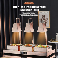 Plateau chauffant électrique en acier inoxydable 304 couleur or rose, lampe chauffante, économie d'énergie, température réglable, marque OULU, garantie 1 an