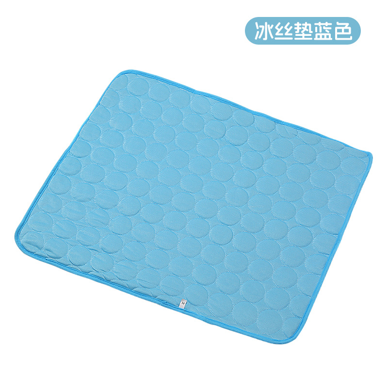 Coussin en soie glacée bleue