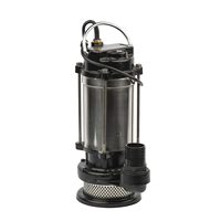 Pompe à eau submersible électrique 1 CV en acier inoxydable pour l'irrigation agricole et de jardin