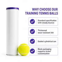 Balles de tennis d'entraînement en feutre durable Voilax, haute élasticité, pour intérieur et extérieur, logo personnalisé, vente en gros disponible, tube de 4