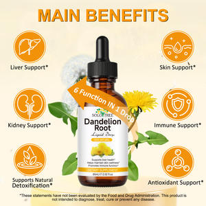 SOLOTREEプライベートラベルタンポポエキスチンキシュガーフリータンポポ根滴サプリメント免疫サポート肌の健康 - Product Image 2