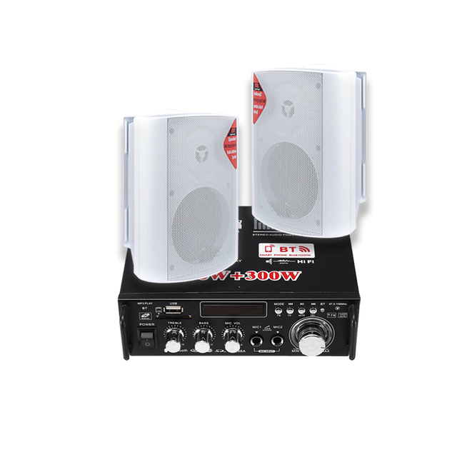 Sonido Profecional Household Mini Amplifier Family KTV Card Pack 300W+300W High Power Amplifier Speaker Set 20kHz-20kHz