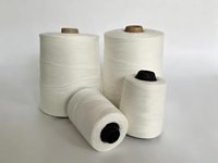 Fil à coudre, fil de scellement, 200g, 1kg, 2kg, 5kg, pour sacs de riz, sacs tissés, coutures, fabriqué en Chine, usine source