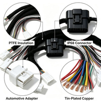 A00094 BeiXing OEM ODM Câble de Faisceau de Câblage Moteur 600V Isolé PTFE 300mm Connecteur Adaptateur Automobile IP68 Étamé
