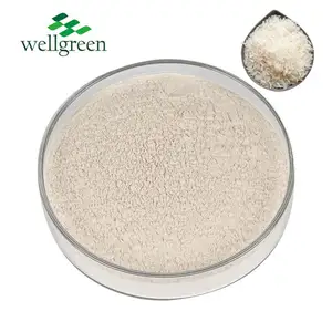 加水分解米タンパク質粉末分離物濃縮白色食品グレード純度80% 90% 米タンパク質
