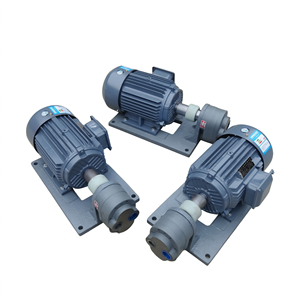 Unidad de Motor de Bomba de Engranajes Horizontal Xin Fei WBZ de Hierro Fundido de Alta Resistencia para Lubricación de Máquinas Herramienta - Product Image 1