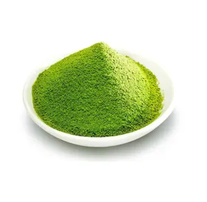 WholeSale Supplier Moringa Powder Ext India