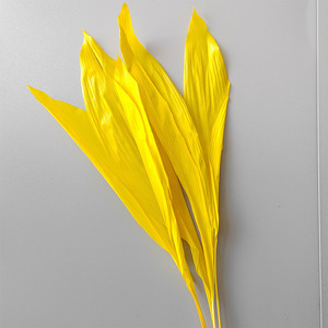 Decoración <span class=keywords><strong>de</strong></span> boda para el hogar Flores secas Blanqueadas Blanco Eterno Conservado Orquídea Manojo <span class=keywords><strong>de</strong></span> <span class=keywords><strong>hojas</strong></span> <span class=keywords><strong>de</strong></span> <span class=keywords><strong>Magnolia</strong></span> secas - Product Image 6