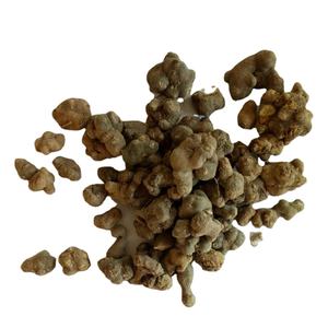 Целые Натуральные Сушеные цельные корневищные луковицы без экстракта для травы - Product Image 1