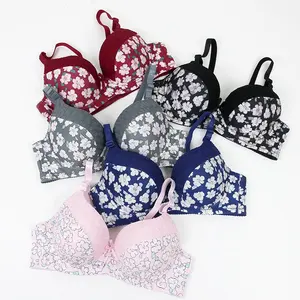 Supplier Comfy T-Shirt D Cup Satin Adjuster Cheap Plus Size Woman Underwire Flower Bras