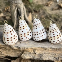 Coquillages naturels en vrac Conus Ebraeus (coquille de bernard-l'ermite) pour pendentifs de bijoux hawaïens DIY (colliers, boucles d'oreilles)