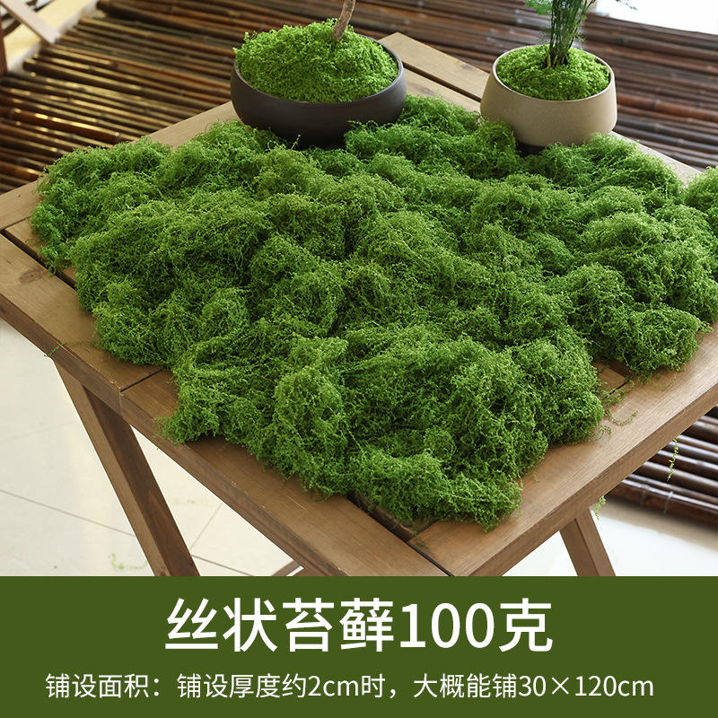 Green-100g ทหาร