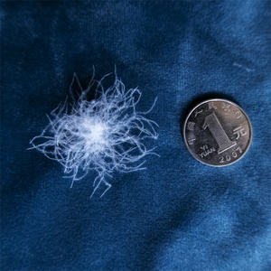 Plumón de ganso blanco/gris, plumón de 2-4cm, <span class=keywords><strong>4</strong></span>-6cm, <span class=keywords><strong>5</strong></span>%-95% 90%, venta al por mayor - Product Image 3