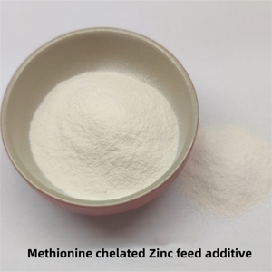 ส่วนผสมอาหารโปรตีน 70% สำหรับสัตว์ฟันแทะ โปรตีนแบคทีเรียชนิดผง สารเสริมอาหารสำเร็จรูป - Product Image 4