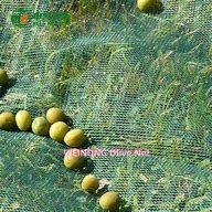 Filet de Récolte d'Olivier Premium WEINONG en HDPE Vert, Résistant aux UV, Haute Résistance à la Traction, Bâche de Collecte de Fruits, Durée de Vie 5-10 Ans - Product Image 5