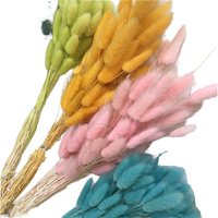 Fleur séchée en forme de queue de lapin, 50-60 cm, vente en gros d'usine, produit transfrontalier très populaire pour la remise des diplômes, le Nouvel An, Noël, la fête des Mères