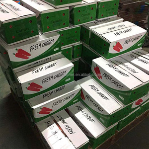 <span class=keywords><strong>Carote</strong></span> Fresche Nuovo Raccolto 2025 Shandong Cina 200g 10Kg/cartone Ottima Qualità Prezzo <span class=keywords><strong>per</strong></span> Tonnellata - Product Image 6
