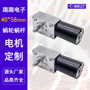 ผู้ผลิตจัดหา มอเตอร์ไร้แปรงถ่าน 12V/24V DC, ตัวลดความเร็วแบบเกียร์หนอนไร้แปรงถ่านพร้อมฟังก์ชันล็อคตัวเอง - Product Image 2
