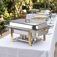 Réchaud Chauffe-Plat de Buffet Professionnel d'Occasion pour Hôtels et Restaurants, Équipement de Traiteur