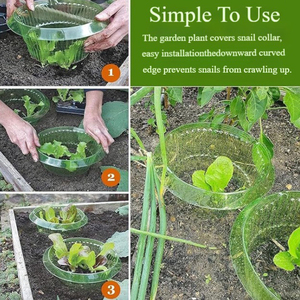 Collier d'escargot Salade <span class=keywords><strong>Protection</strong></span> des plantes et des choux Jardin Collier d'escargot protège les plantes de la consommation d'animaux <span class=keywords><strong>Protection</strong></span> des plantes - Product Image 2