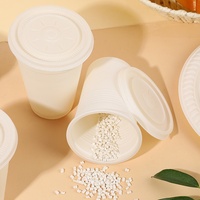 Gobelet jetable compostable personnalisé en canne à sucre 5 6 7 9 12 oz, écologique, certifié BPI, sans PFAS, 100 % végétal, pour café, thé, boissons froides