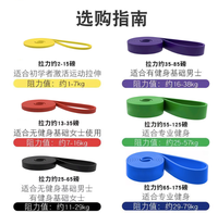 Bandas de Resistencia Elásticas para Ejercicio, Yoga y Gimnasio, con Logotipo Personalizado, Material TPE, Bolsa de Nailon, Expansor de Entrenamiento
