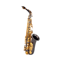 Factory Price Black Nickel Body Gold Lacquer Keys Alto Saxophone