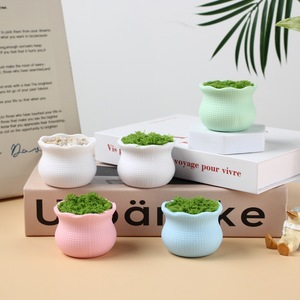 <span class=keywords><strong>Pot</strong></span> de fleurs en plastique de taille moyenne à faire soi-même, <span class=keywords><strong>pot</strong></span> créatif pour plantes succulentes avec corde de chanvre, accessoire de décoration intérieure avec <span class=keywords><strong>grand</strong></span> trou de drainage au sol - Product Image 1