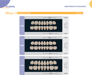 CE ISO Denti acrilici compositi per dentiere sintetiche denti artificiali per la vendita/dentiere denti finti acrilico apparecchiature dentali - Product Image 5