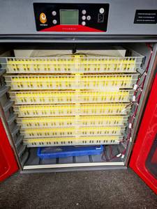 WONEGG 728 Incubateur automatique à rouleaux haute productivité pour l'éclosion des œufs, 220V, pour élevage <span class=keywords><strong>de</strong></span> poulets et volailles - Product Image 5
