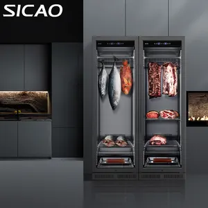 Factory Hot Selling Commercial Use Fish Pancetta Dry Aged Black Stainless Dry Age Beef Refrigerator