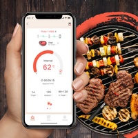 Termometer BBQ nirkabel dapur daging Digital cerdas 2023 untuk memasak baterai plastik bertenaga OEM/ODM