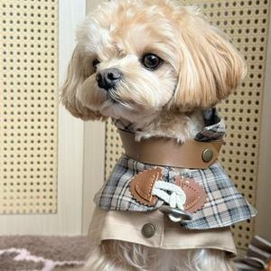 छोटे कुत्ते चार सीज़न एंटी-मोलटिंग वसंत शरद ऋतु पालतू कुत्ते के कपड़े पतली शैली पश्चिमी शैली फैशनेबल ब्रिटिश शैली जोड़ी - Product Image 2