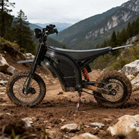 Moto électrique 3000W 48V 20.8AH Roues avant et arrière de 17'' et 14'' pouces Adaptée à tous les terrains Vitesse maximale 61-80 km/h Charge maximale adulte 150 kg