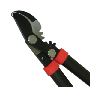 บายพาสตัดแต่งกิ่งไม้ในสวนขนาดเล็กสำหรับตัดแต่งกิ่งต้นไม้และพุ่มไม้ขนาดเล็ก - Product Image 4