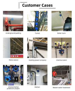 Hochwertiger Digitaler <span class=keywords><strong>LPG</strong></span>-Gasdetektor mit Display - Product Image 6