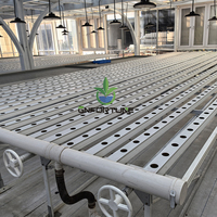 Kit d'hydroponie à flux et reflux économique 2026 – Canal NFT mobile en PVC, gouttière et tuyau pour laitue et basilic