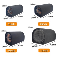 10 pouces Tunnel Type voiture Audio Subwoofer haut-parleur Toyota Compatible papier cône néodyme aimant cadre en aluminium DC 12V