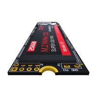 SSD M.2 NVMe Interne Haute Vitesse 256 Go/512 Go/1 To pour PC Portable et Ordinateur de Bureau