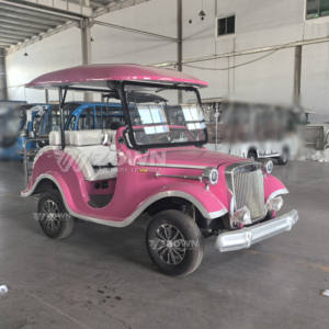 Voitures de luxe vintage roses disponibles pour les excursions touristiques en voiture, avec couleurs et logos personnalisables - Product Image 2