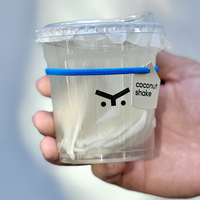 Gobelets en plastique PET de qualité alimentaire 18 oz avec couvercles, logo et couleur personnalisés pour les boissons à base de noix de coco, les magasins d'alimentation et de boissons, les cafés