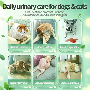 Suplemento <span class=keywords><strong>Natural</strong></span> a Base de Hierbas para la Salud Urinaria de Mascotas, para la Eliminación de Cálculos Renales y Vesicales, Soporte para Infecciones Urinarias en Perros y Gatos - Product Image 3