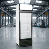 Équipement de réfrigération pour restaurants, réfrigérateur à vin et boissons de 300 l avec design à ailettes en aluminium, pour supermarchés