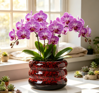Décoration Maison & Jardin : Pot de fleurs en céramique réactive bleue, style ferme, 5 pouces, pour extérieur