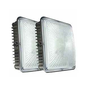 Outdoor IP65 Petrol Retrofit Gas Lighting 40w 60w 80w 100w gas station led canopy light