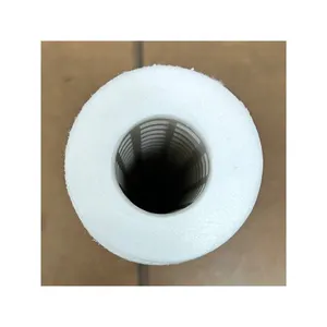 CSN Polypropylene Deep Filtration Filter Organic Matter Removal Filter Heat fusion type filter 1~100 micron