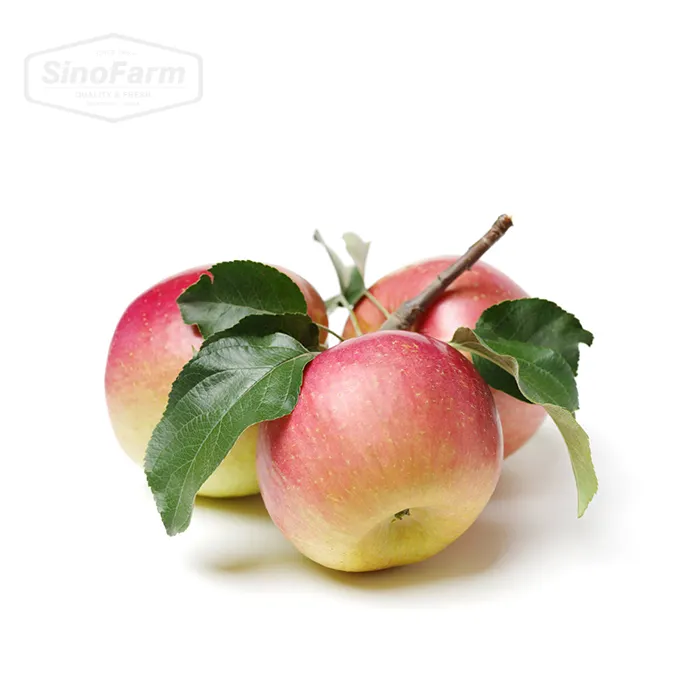Frischer Apfel Roter Apfel Neue Ernte 2023 Köstlicher Apfel