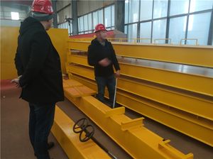 Fabricante Personalizado de Puentes de Doble Viga |   Plan de Elevación de 10-500 Toneladas |   Opcional a Prueba de Explosiones |   Soporte Técnico - Product Image 2